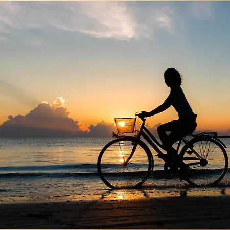 Westfalia 4 דירה *